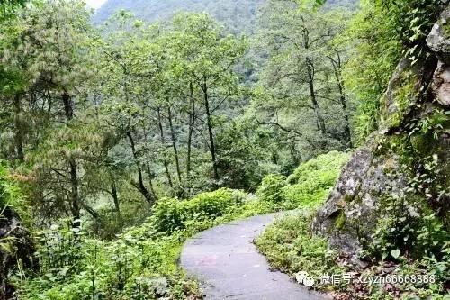 证监会召开党委扩大会议：全力维护资本市场稳定运行