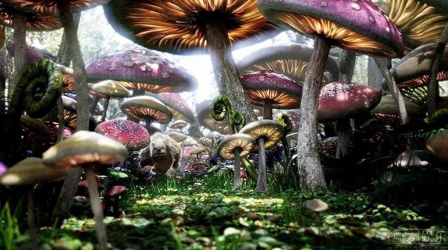 博尔特打破了田径短跑的常理，证明高个一样可以短跑，你了解这名运动员吗？游戏画面